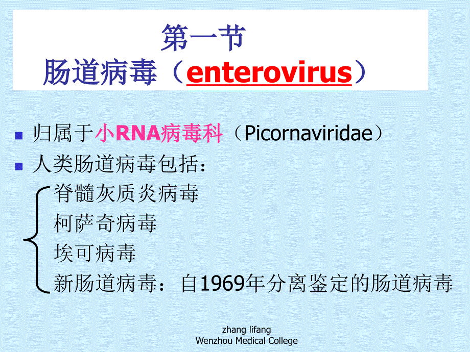 肠道病毒最新PPT课件_第3页