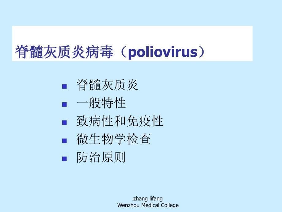 肠道病毒最新PPT课件_第5页