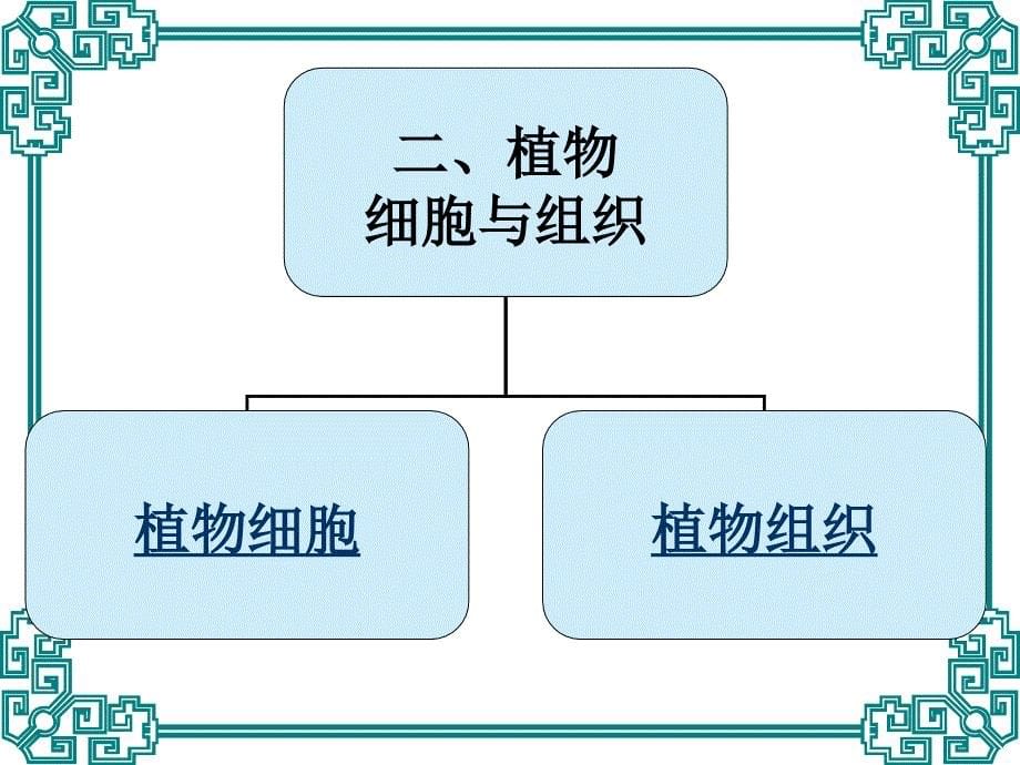 《景观植物观赏》PPT课件.ppt_第5页