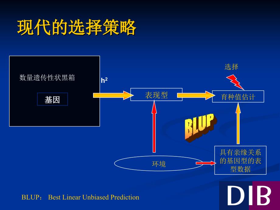 全基因组选择策略在植物育种中的应用_第3页