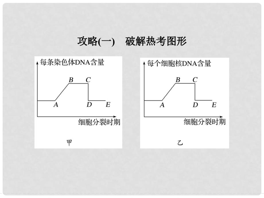 高中生物 第二章 减数分裂和有性生殖章末培优攻略课件 苏教版必修2_第2页