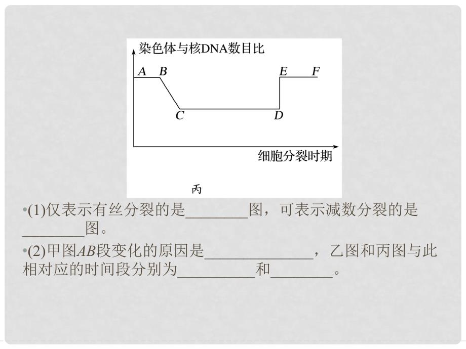 高中生物 第二章 减数分裂和有性生殖章末培优攻略课件 苏教版必修2_第3页