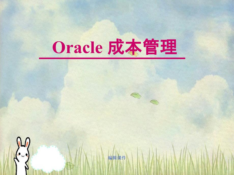 oracle成本管理讲义_第1页