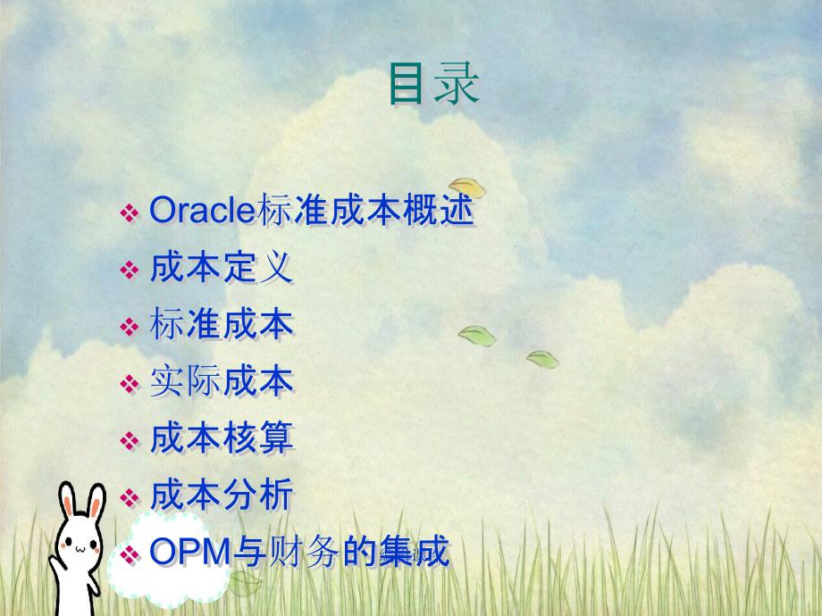 oracle成本管理讲义_第2页