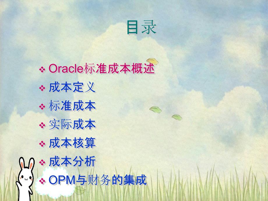 oracle成本管理讲义_第3页