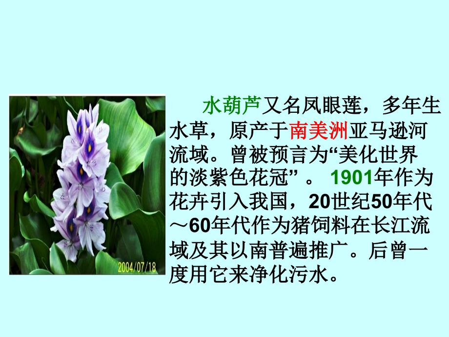 生物入侵者公开课定稿_第2页