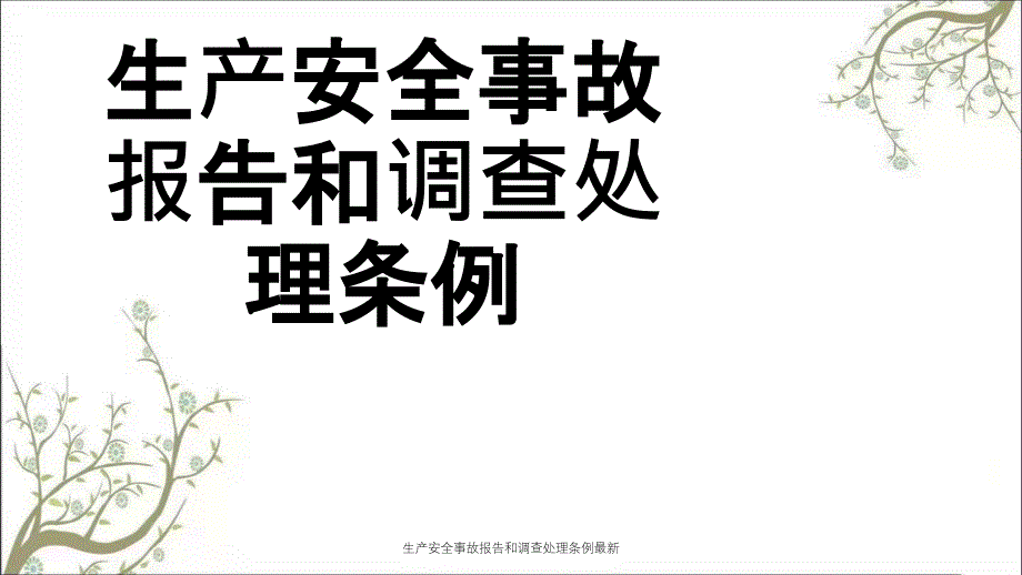 生产安全事故报告和调查处理条例最新PPT课件_第1页