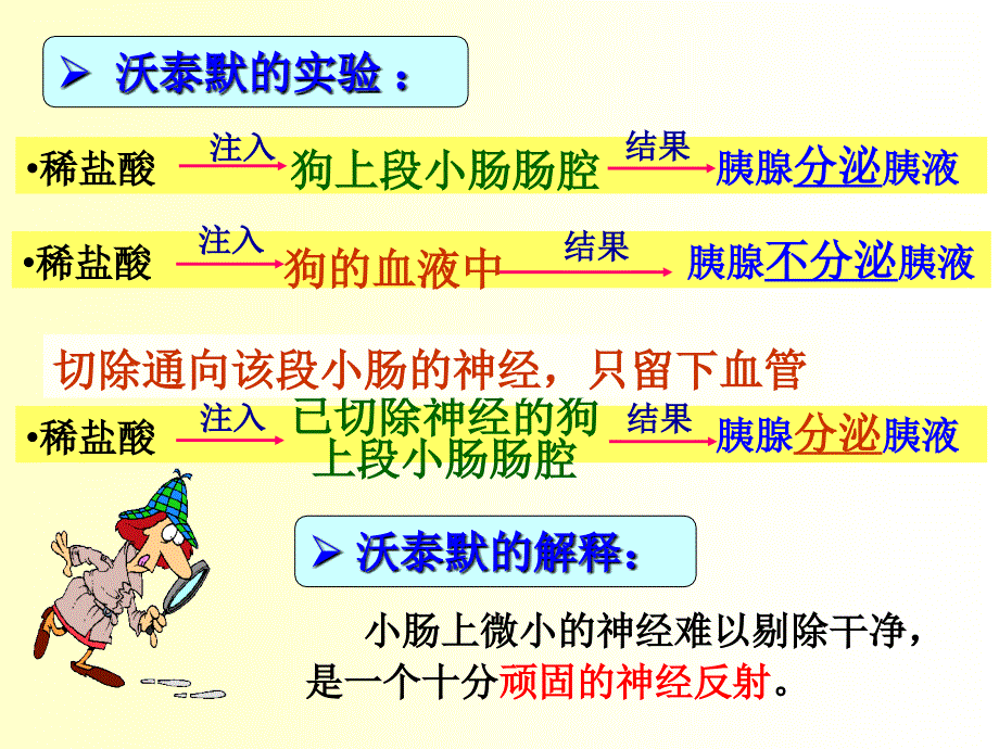 高中生物通过激素的调节_第4页