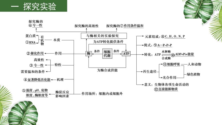 高考生物一轮复习课件专题04 酶和ATP (含解析)_第3页