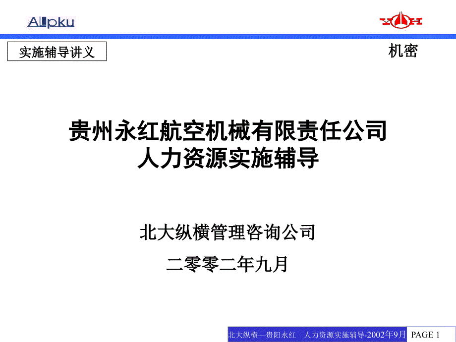 某某人力资源实施辅导_第1页