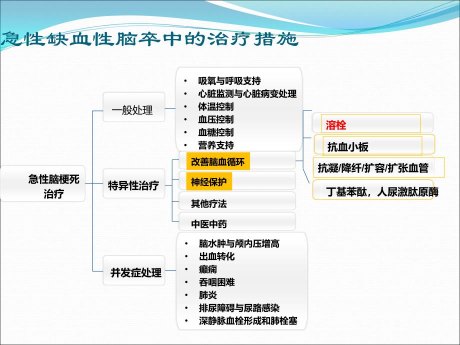 急性缺血性脑卒中的治疗康复_第4页