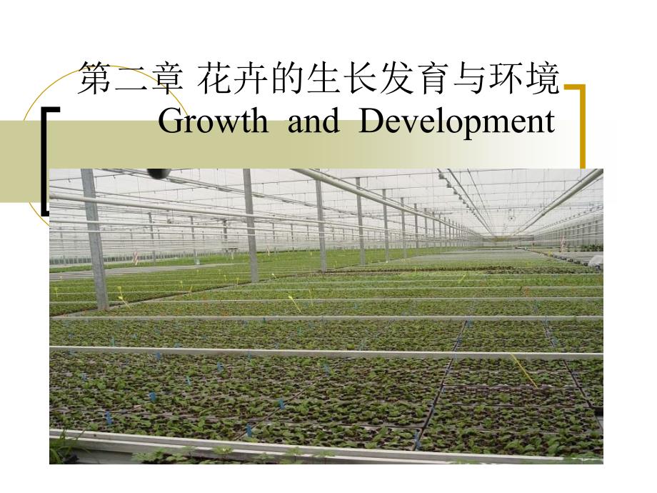 第二章花卉的生长发育与环境GrowthandDevelopment课件_第1页