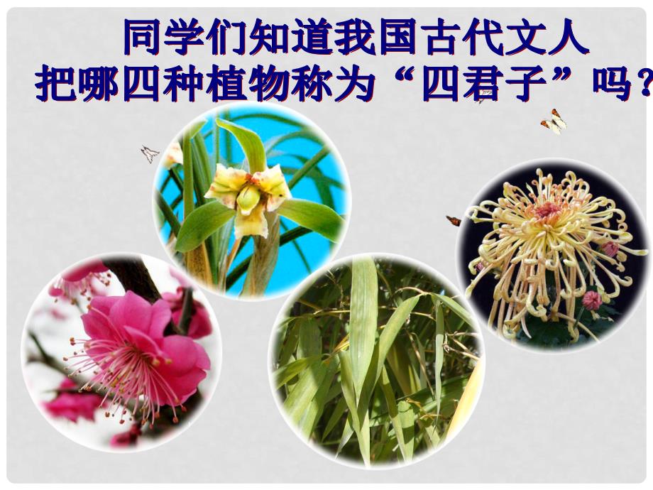 初中美术《竹的画法》课件_第1页