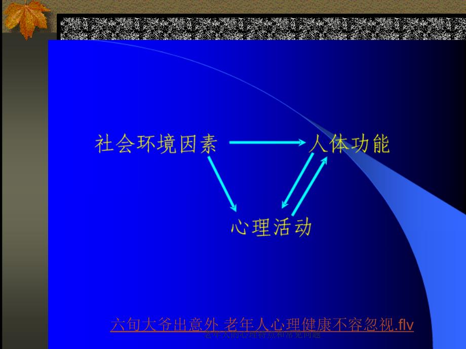 老年人的心理特点和常见问题_第3页