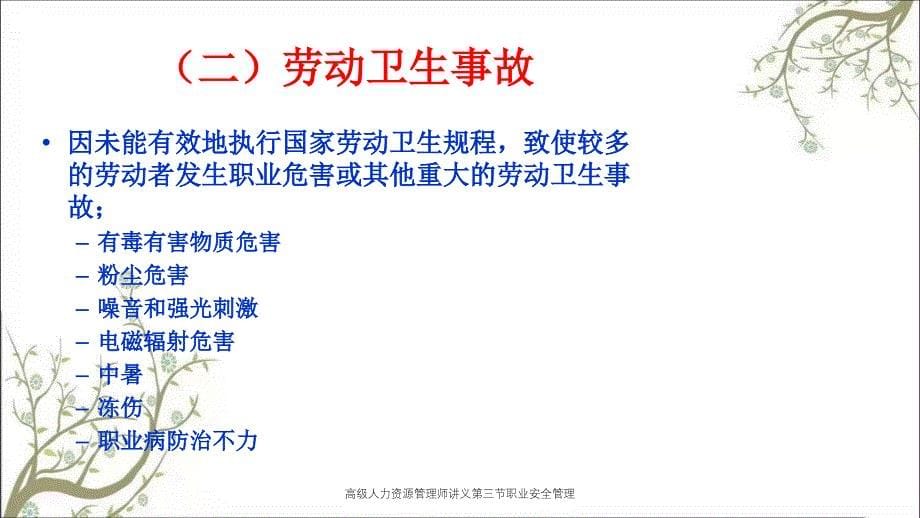 高级人力资源管理师讲义第三节职业安全管理PPT课件_第5页