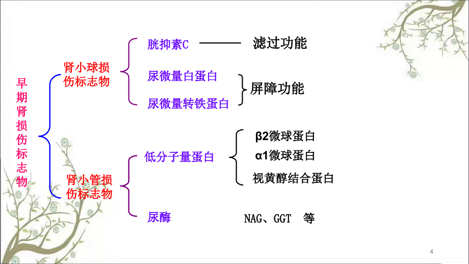 特色检验肾损八项课件_第4页