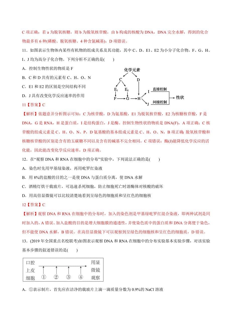 高考生物一轮复习刷题练习专题1.4 遗传信息的携带者——核酸（含解析）_第5页