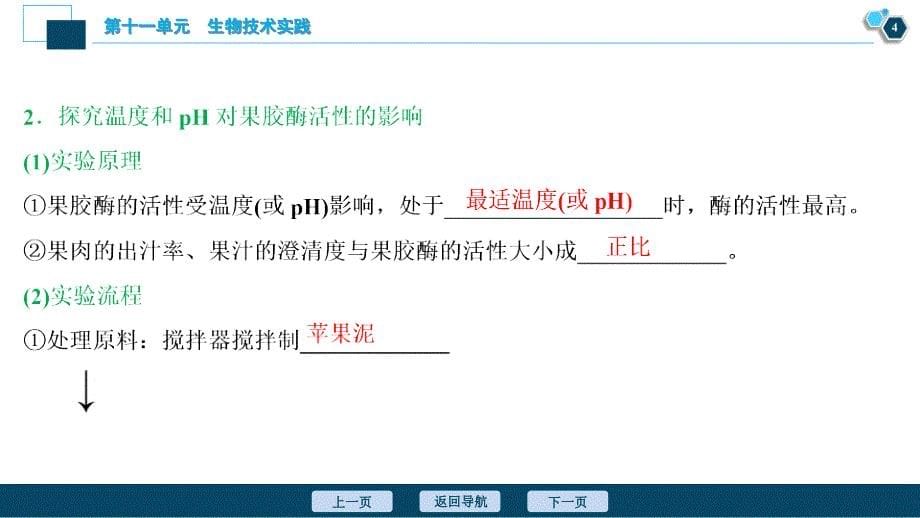 高考生物一轮复习课件第11单元　第38讲　酶与生物技术在其他方面的应用 (含解析)_第5页