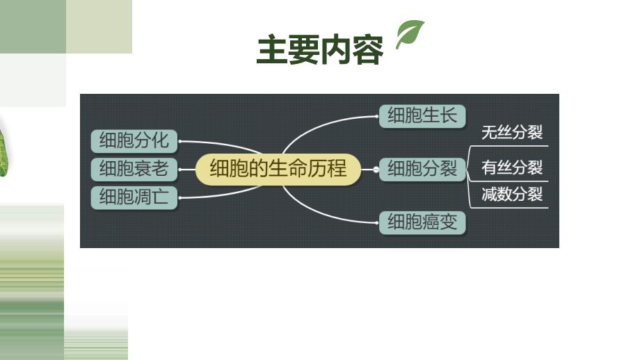 高考生物一轮复习课件专题06 细胞的生命历程 (含解析)_第2页