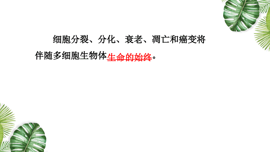 高考生物一轮复习课件专题06 细胞的生命历程 (含解析)_第4页