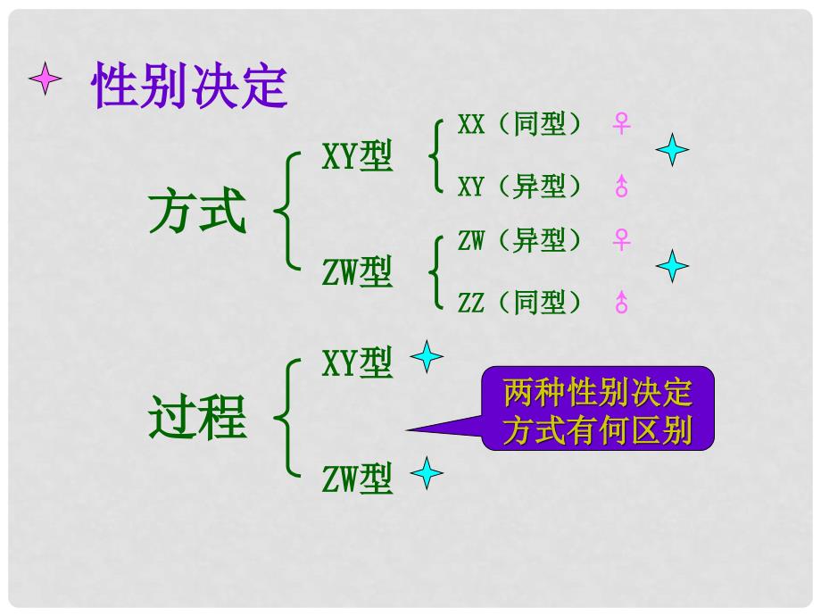 陕西地区高中生物复习资料 伴性遗传1课件 新人教版必修2_第4页