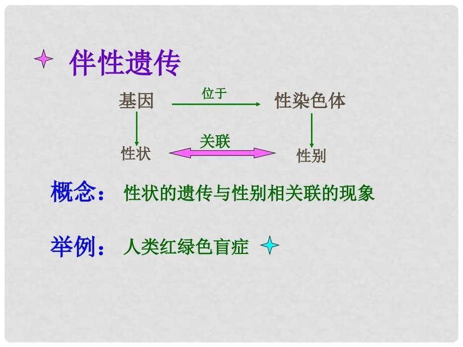 陕西地区高中生物复习资料 伴性遗传1课件 新人教版必修2_第5页