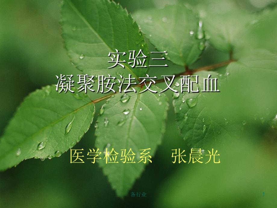 凝聚胺交叉配血试验【稻谷书屋】_第1页