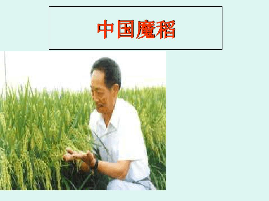 五年级下语文课件中国魔稻教科版_第1页