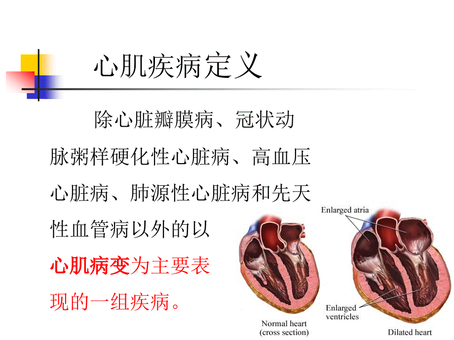 干细胞移植治疗漫性心脏功能损害的应用与进展_第2页