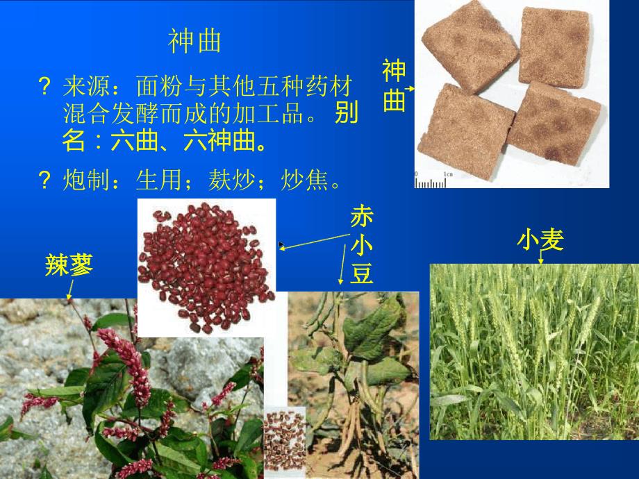 中药学第十六十七章_第4页