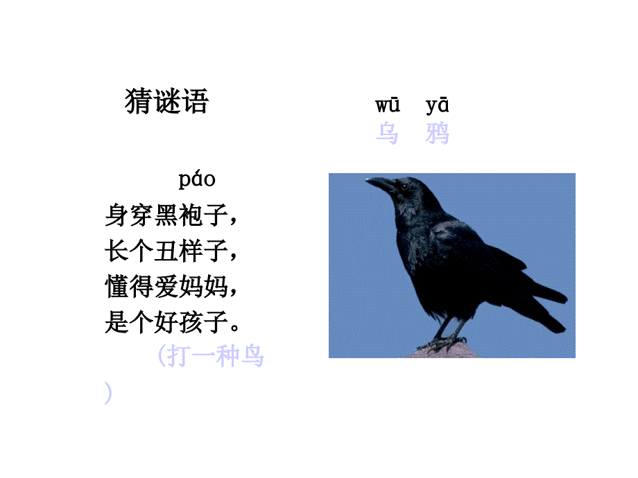 乌鸦喝水(人教版.ppt_第1页