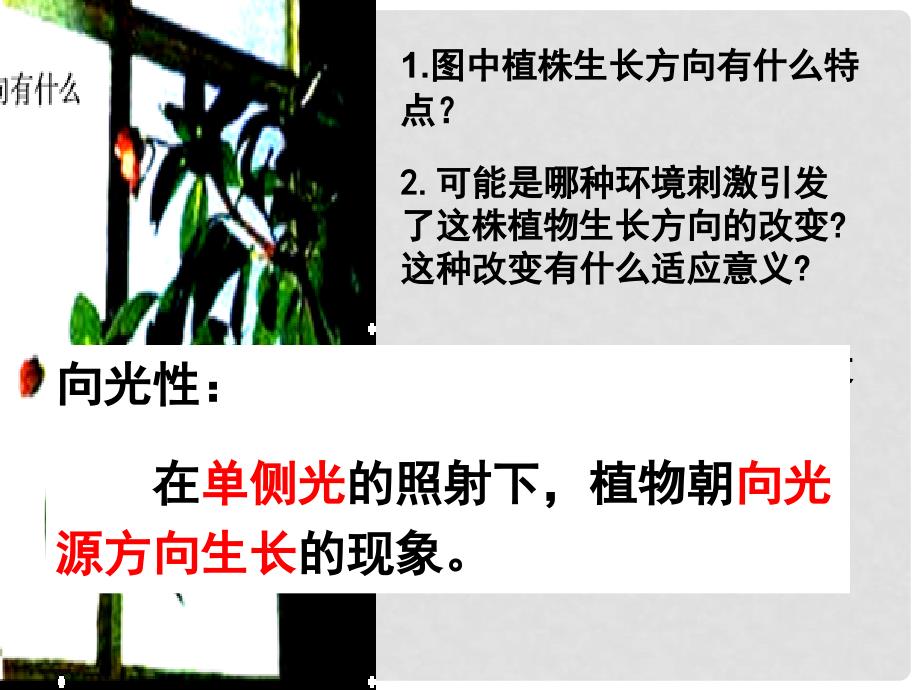 湖南省平江七中高中生物 3.1 植物生长素的发现课件 新人教版必修3_第3页