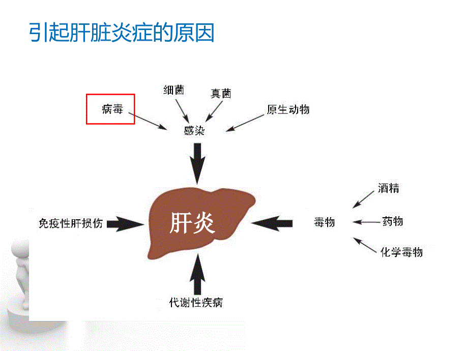 肝病与干扰素的联系-河南乙肝医院讲诉_第4页