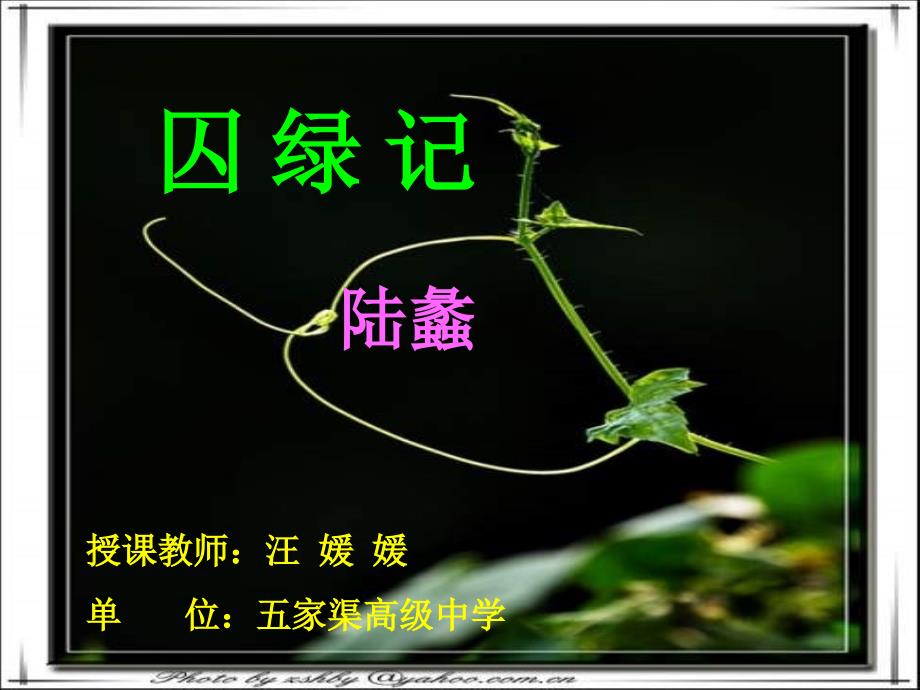 囚绿记公开课_第2页