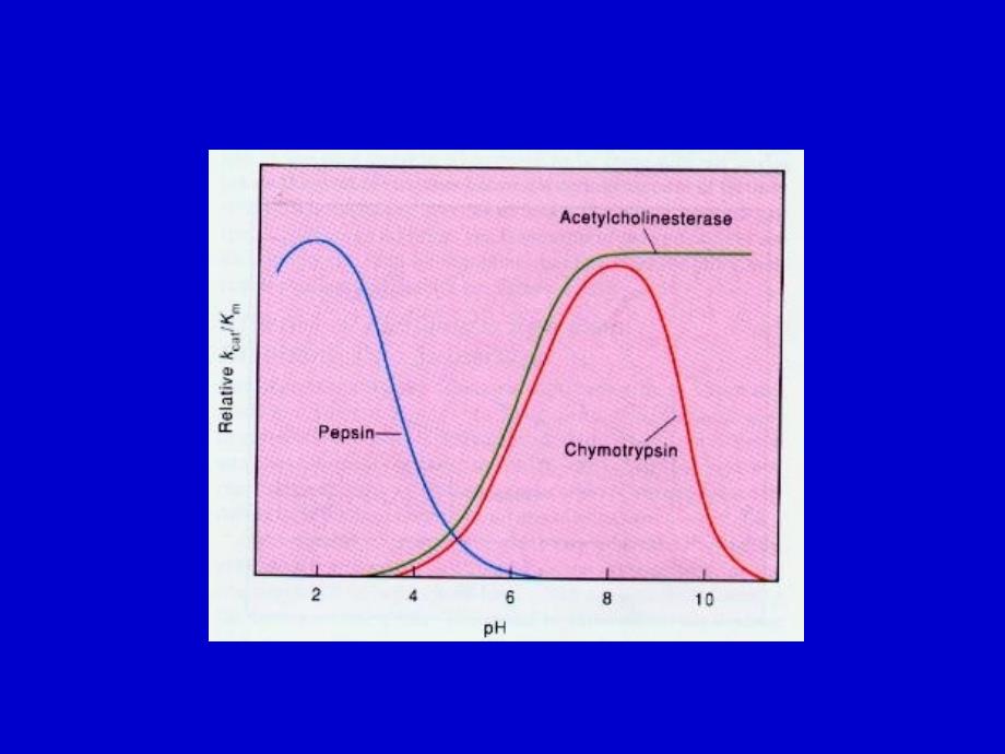 pH对酶活性的影响_第3页