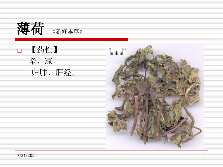 中药学课件1.2解表药_第4页