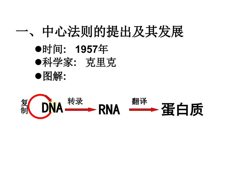 基因对性状的控制课件_第4页