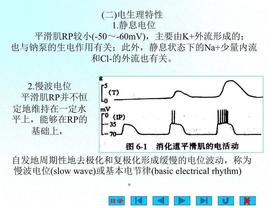 中学大学医学院生理版消化课件_第5页