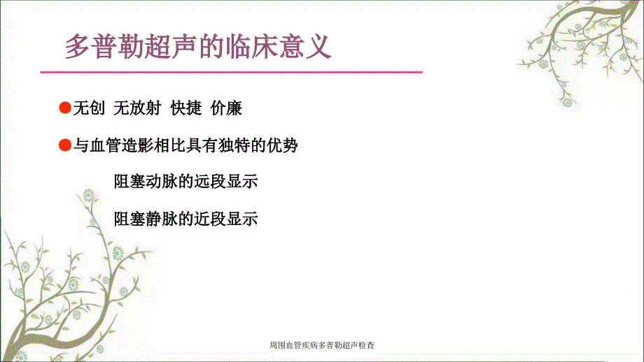 周围血管疾病多普勒超声检查_第2页