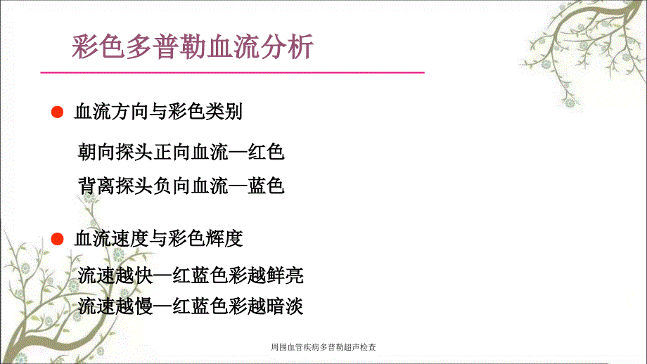 周围血管疾病多普勒超声检查_第4页