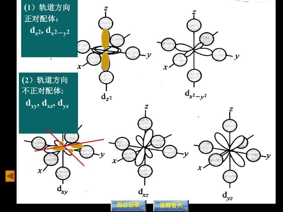 十章配位平衡与配位滴定法_第5页