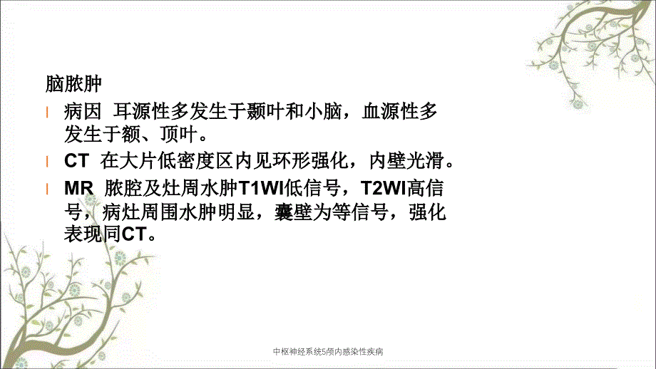 中枢神经系统5颅内感染性疾病_第2页