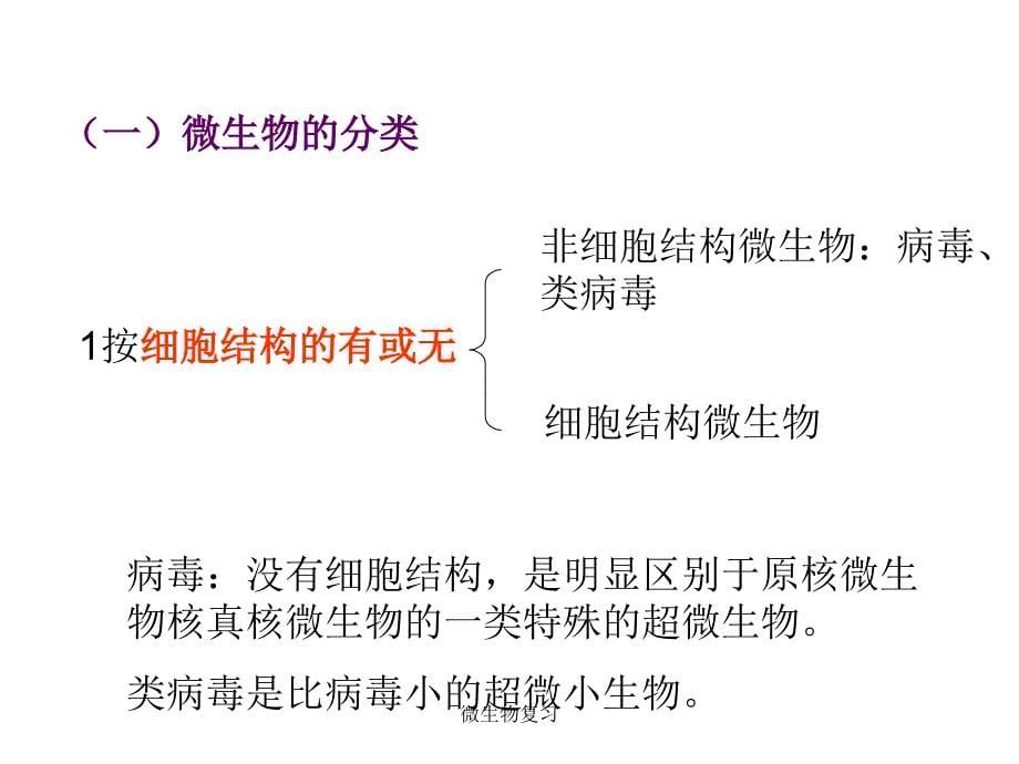 微生物复习课件_第5页