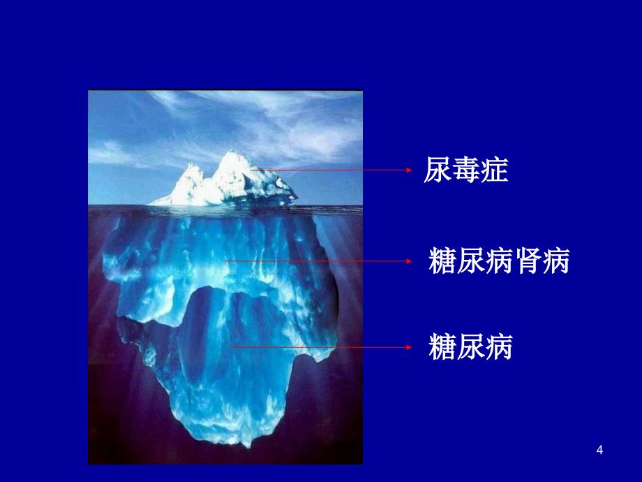 糖尿病肾病的病因发病机制及生理病理ppt课件_第4页