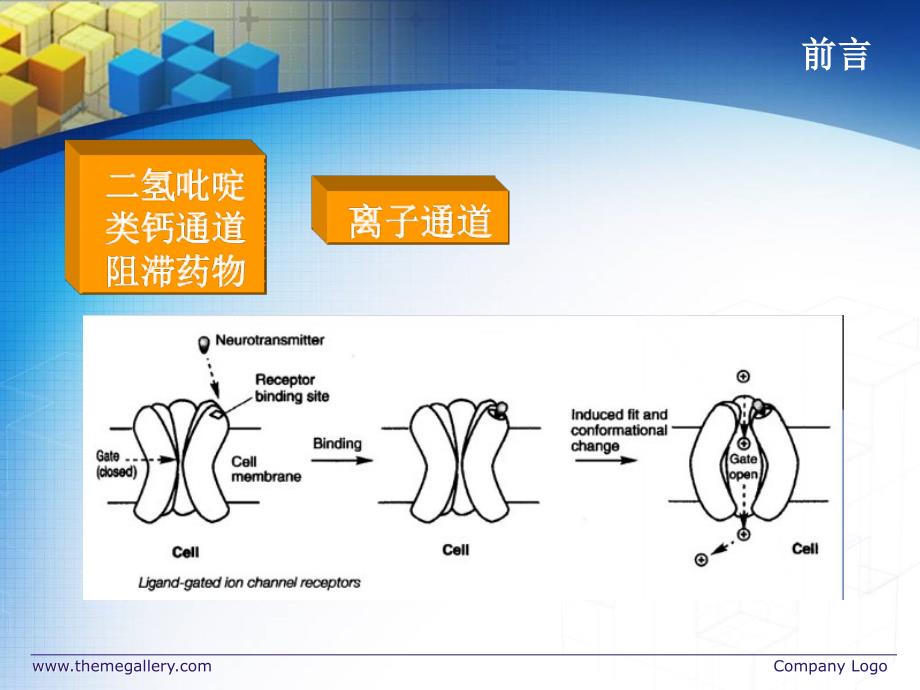 药物分析09二氢吡啶类钙通道阻滞药物的分析_第3页