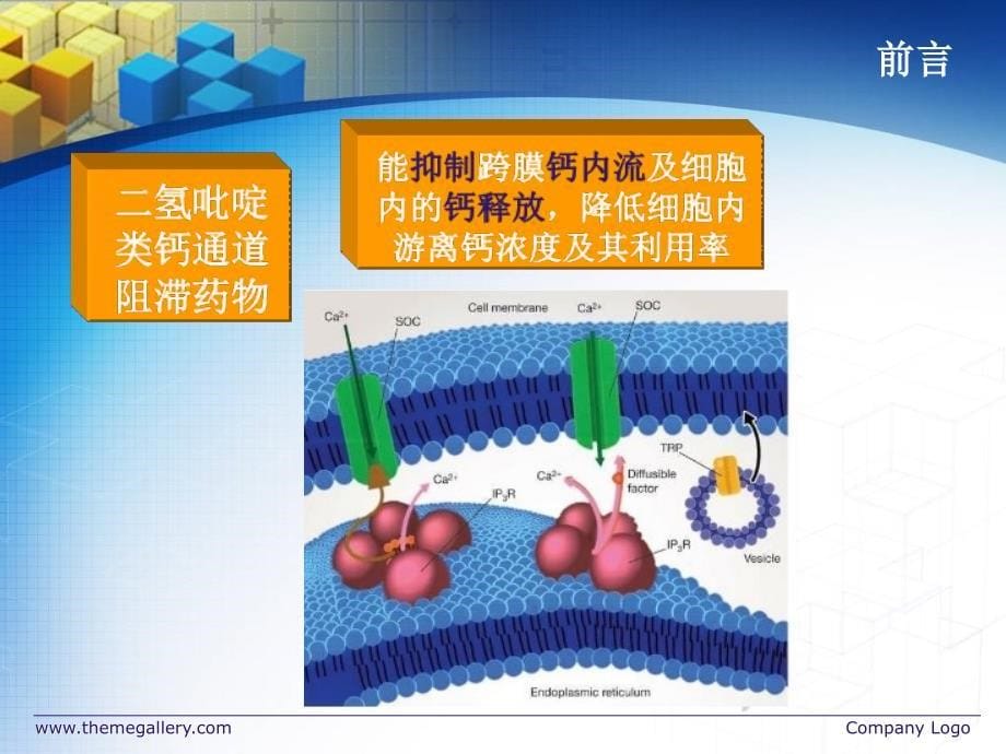 药物分析09二氢吡啶类钙通道阻滞药物的分析_第5页