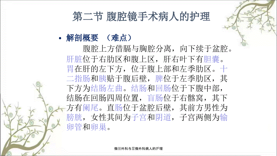 微创外科与显微外科病人的护理_第4页