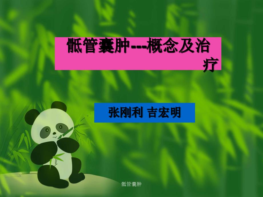 骶管囊肿课件_第1页