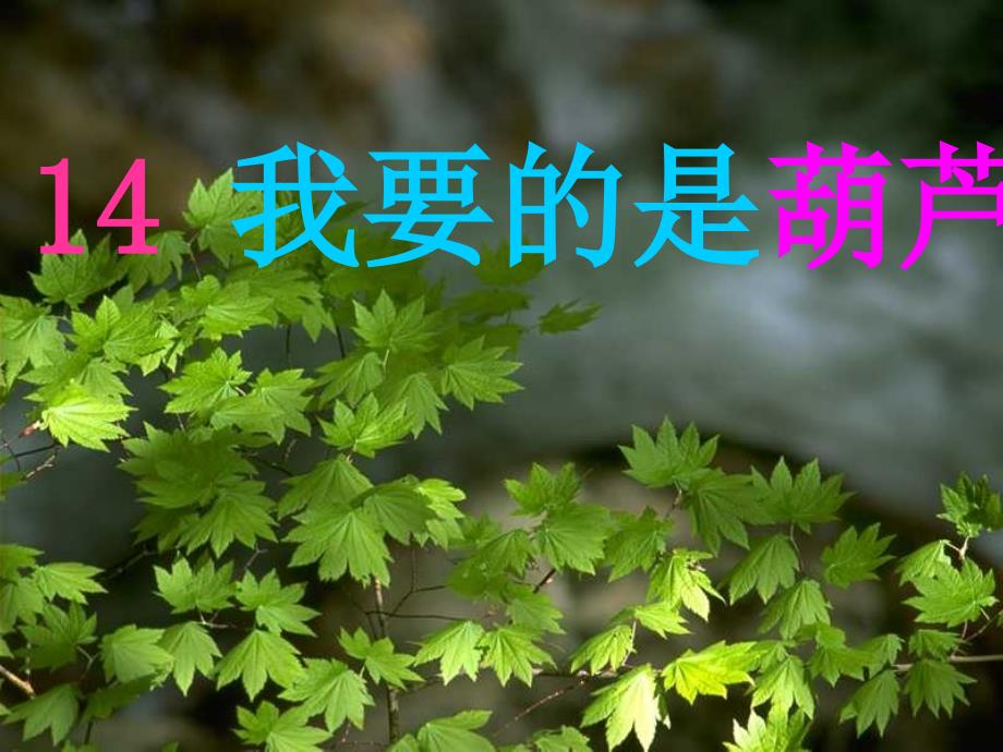 人教版语文二上14《我要的是葫芦》课件(4)_第1页