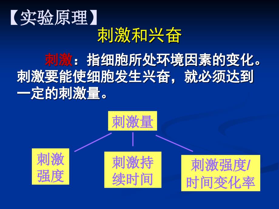 刺激强度、刺激频率与骨骼肌收缩的关系_第2页